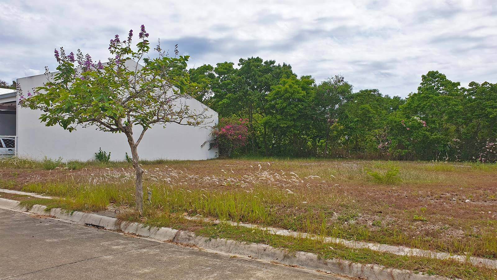 Molave Highlands Consolacion Cebu Residential Lot for Sale Lot M229